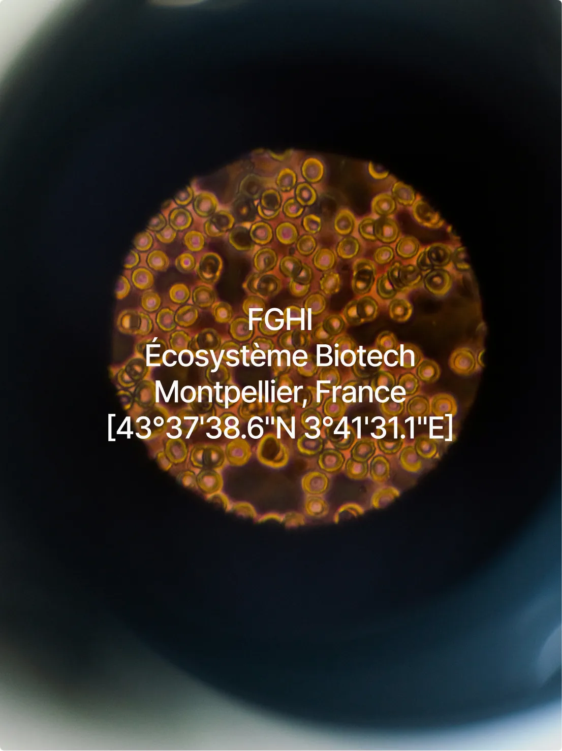 FGHI, Écosystème Biotech, Montpellier, France, sur une vue au microscope